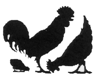 chickens.jpg